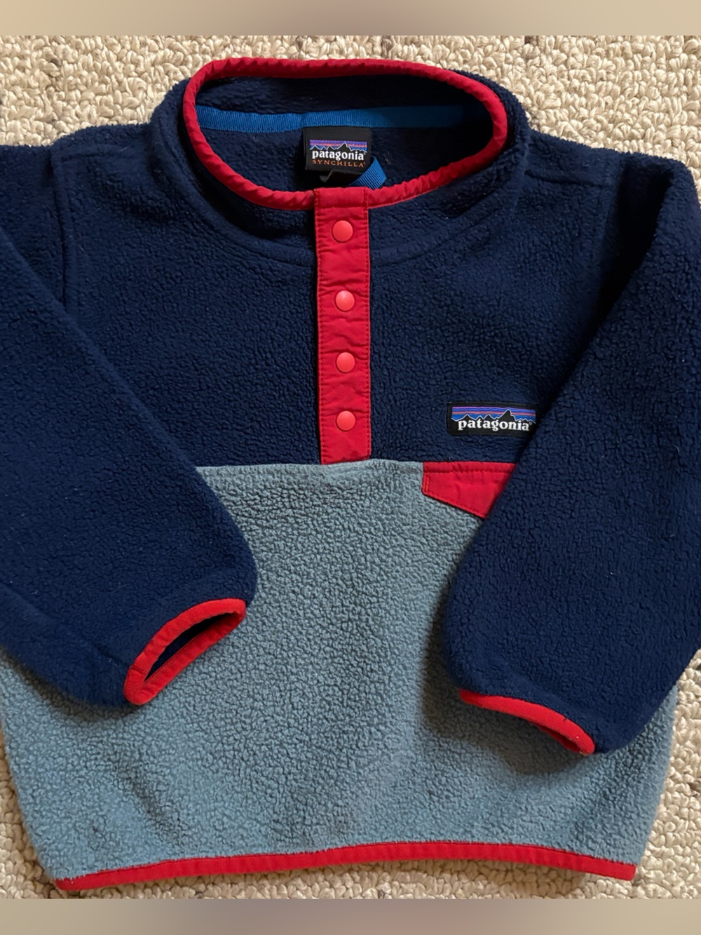Patagonia Kids Snap-Front Fleece Pullover (2t)
